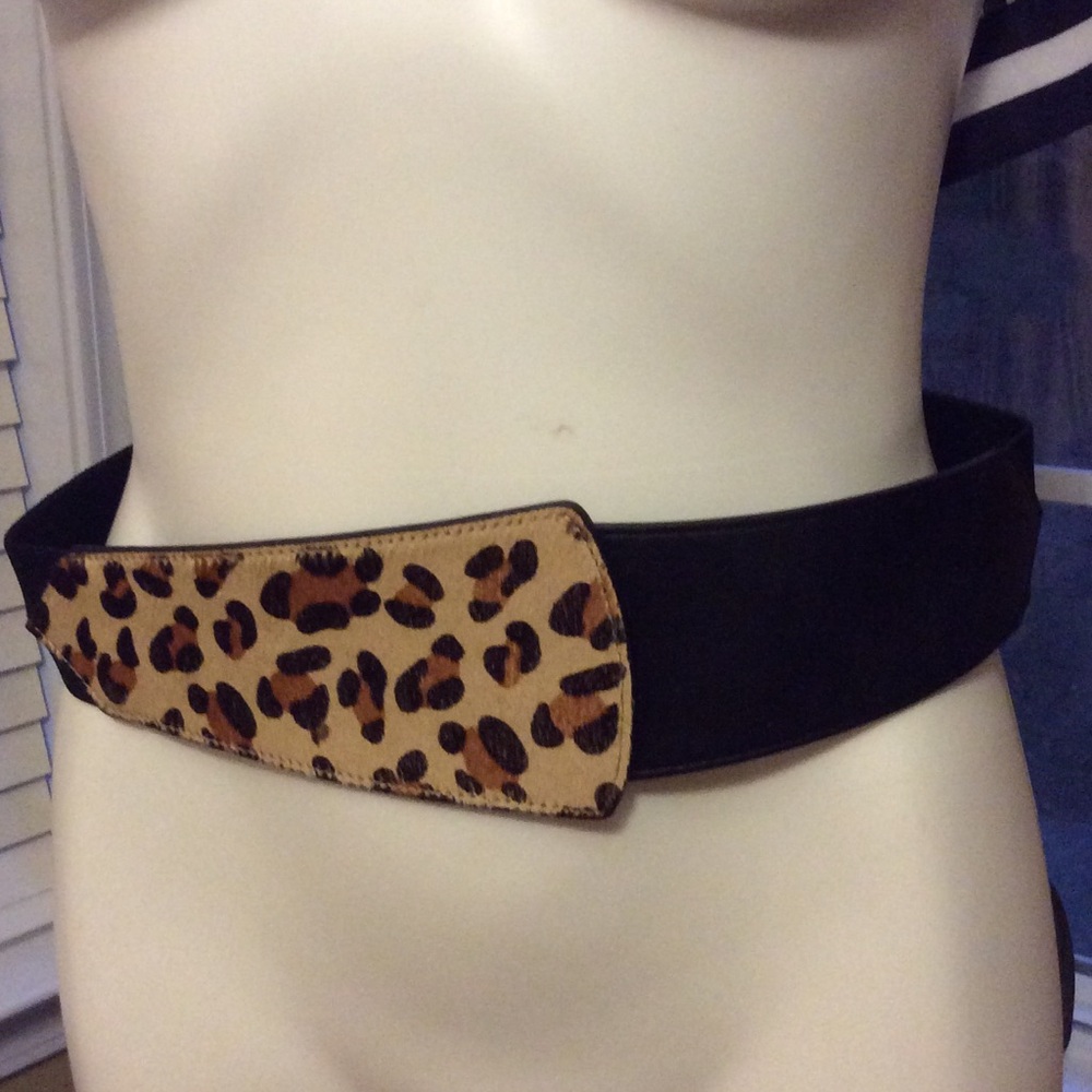 The Limited Belt